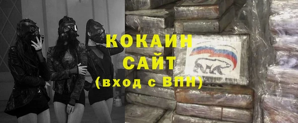 трава Аркадак