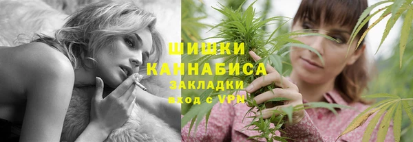 трава Аркадак