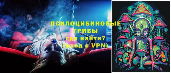 трава Аркадак